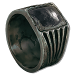 Sovereign Protector's Ring